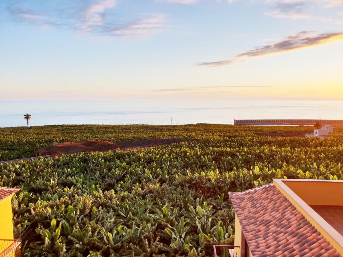 Апартаменти La Palmita Sunset Тасакорте Екстер'єр фото
